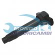 bobina accensione,INDUTTORE ACCENSIONE,MODULO ACCENSIONE