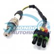 sonda lambda,SENSORE OSSIGENO