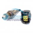 sonda lambda,SENSORE OSSIGENO