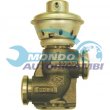 valvola egr,DSIPOSITIVO CONTROLLO EMISSIONE SCARICO,GRUPPO EGR,VALVOLA RICIRCOLAZIONE GAS,VALVOLA RICIRCOLO GAS SCARICO
