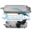 oil cooler raffreddamento olio