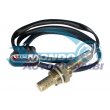 sonda lambda,SENSORE OSSIGENO