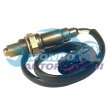 sonda lambda,SENSORE OSSIGENO