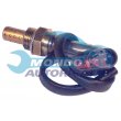 sonda lambda,SENSORE OSSIGENO
