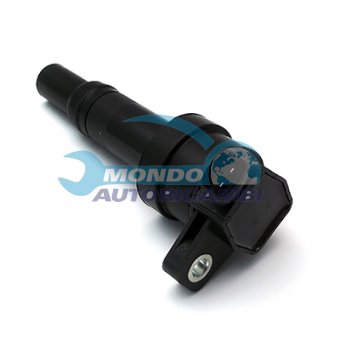 BOBINA ACCENSIONE, INDUTTORE ACCENSIONE, MODULO ACCENSIONE