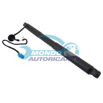 ATTUATORE ELETTRICO BAGAGLIAIO