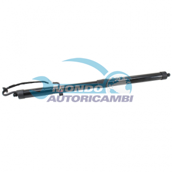 ATTUATORE ELETTRICO BAGAGLIAIO