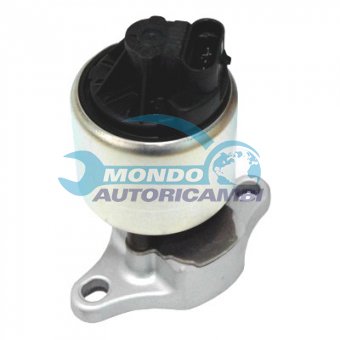 VALVOLA EGR, DSIPOSITIVO CONTROLLO EMISSIONE SCARICO, GRUPPO EGR, VALVOLA RICIRCOLAZIONE GAS, VALVOLA RICIRCOLO GAS SCARICO