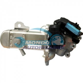 VALVOLA EGR, DSIPOSITIVO CONTROLLO EMISSIONE SCARICO, GRUPPO EGR, VALVOLA RICIRCOLAZIONE GAS, VALVOLA RICIRCOLO GAS SCARICO