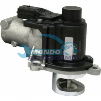 VALVOLA EGR, DSIPOSITIVO CONTROLLO EMISSIONE SCARICO, GRUPPO EGR, VALVOLA RICIRCOLAZIONE GAS, VALVOLA RICIRCOLO GAS SCARICO
