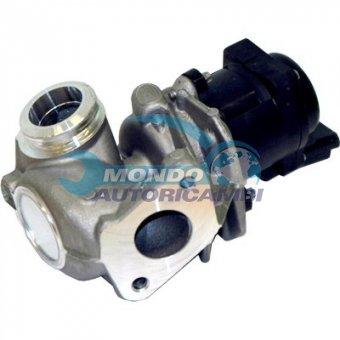 VALVOLA EGR, DSIPOSITIVO CONTROLLO EMISSIONE SCARICO, GRUPPO EGR, VALVOLA RICIRCOLAZIONE GAS, VALVOLA RICIRCOLO GAS SCARICO
