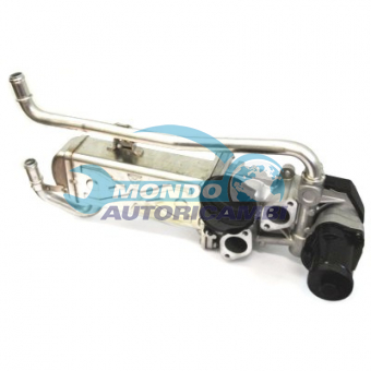 VALVOLA EGR, DSIPOSITIVO CONTROLLO EMISSIONE SCARICO, GRUPPO EGR, VALVOLA RICIRCOLAZIONE GAS, VALVOLA RICIRCOLO GAS SCARICO