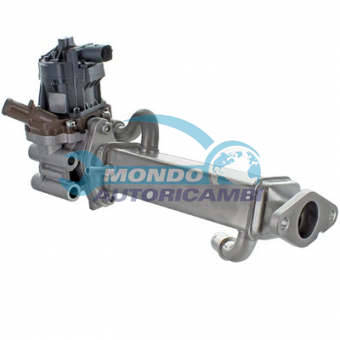 VALVOLA EGR, DSIPOSITIVO CONTROLLO EMISSIONE SCARICO, GRUPPO EGR, VALVOLA RICIRCOLAZIONE GAS, VALVOLA RICIRCOLO GAS SCARICO