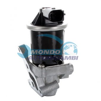 VALVOLA EGR, DSIPOSITIVO CONTROLLO EMISSIONE SCARICO, GRUPPO EGR, VALVOLA RICIRCOLAZIONE GAS, VALVOLA RICIRCOLO GAS SCARICO