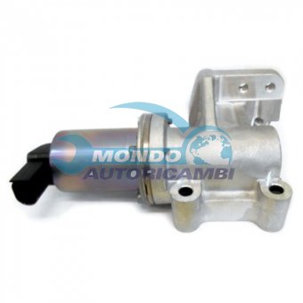 VALVOLA EGR, DSIPOSITIVO CONTROLLO EMISSIONE SCARICO, GRUPPO EGR, VALVOLA RICIRCOLAZIONE GAS, VALVOLA RICIRCOLO GAS SCARICO