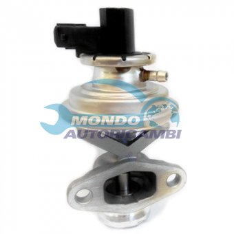 VALVOLA EGR, DSIPOSITIVO CONTROLLO EMISSIONE SCARICO, GRUPPO EGR, VALVOLA RICIRCOLAZIONE GAS, VALVOLA RICIRCOLO GAS SCARICO