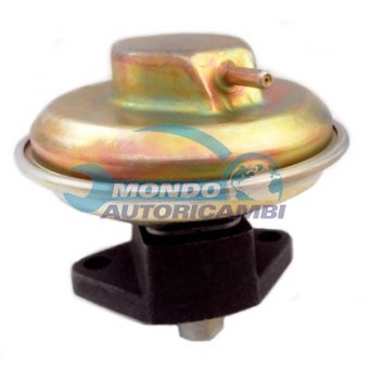 VALVOLA EGR, DSIPOSITIVO CONTROLLO EMISSIONE SCARICO, GRUPPO EGR, VALVOLA RICIRCOLAZIONE GAS, VALVOLA RICIRCOLO GAS SCARICO