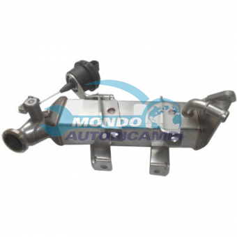 VALVOLA EGR, DSIPOSITIVO CONTROLLO EMISSIONE SCARICO, GRUPPO EGR, VALVOLA RICIRCOLAZIONE GAS, VALVOLA RICIRCOLO GAS SCARICO