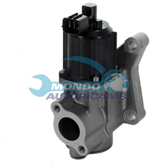 VALVOLA EGR, DSIPOSITIVO CONTROLLO EMISSIONE SCARICO, GRUPPO EGR, VALVOLA RICIRCOLAZIONE GAS, VALVOLA RICIRCOLO GAS SCARICO