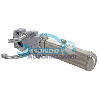 VALVOLA EGR, DSIPOSITIVO CONTROLLO EMISSIONE SCARICO, GRUPPO EGR, VALVOLA RICIRCOLAZIONE GAS, VALVOLA RICIRCOLO GAS SCARICO