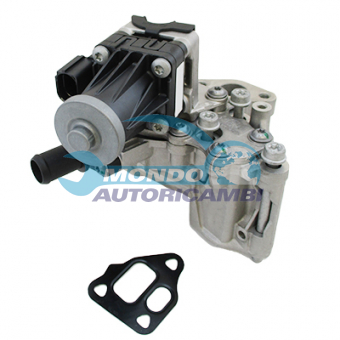 VALVOLA EGR, DSIPOSITIVO CONTROLLO EMISSIONE SCARICO, GRUPPO EGR, VALVOLA RICIRCOLAZIONE GAS, VALVOLA RICIRCOLO GAS SCARICO