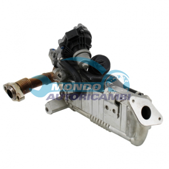 VALVOLA EGR, DSIPOSITIVO CONTROLLO EMISSIONE SCARICO, GRUPPO EGR, VALVOLA RICIRCOLAZIONE GAS, VALVOLA RICIRCOLO GAS SCARICO