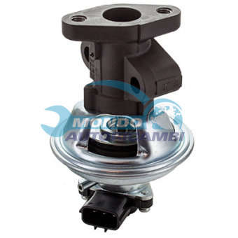 VALVOLA EGR, DSIPOSITIVO CONTROLLO EMISSIONE SCARICO, GRUPPO EGR, VALVOLA RICIRCOLAZIONE GAS, VALVOLA RICIRCOLO GAS SCARICO