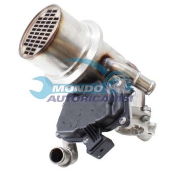VALVOLA EGR, DSIPOSITIVO CONTROLLO EMISSIONE SCARICO, GRUPPO EGR, VALVOLA RICIRCOLAZIONE GAS, VALVOLA RICIRCOLO GAS SCARICO