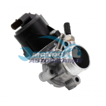 VALVOLA EGR, DSIPOSITIVO CONTROLLO EMISSIONE SCARICO, GRUPPO EGR, VALVOLA RICIRCOLAZIONE GAS, VALVOLA RICIRCOLO GAS SCARICO