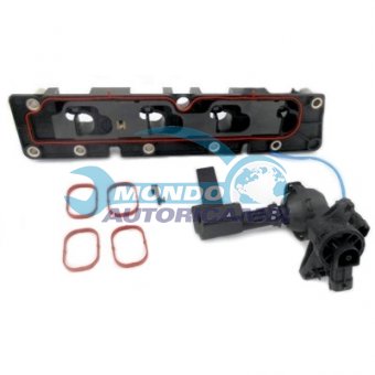 CORPO FARFALLATO, AZIONATORE FARFALLA TURBOLENZA, FARFALLA