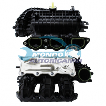 COLLETTORE ASPIRAZIONE