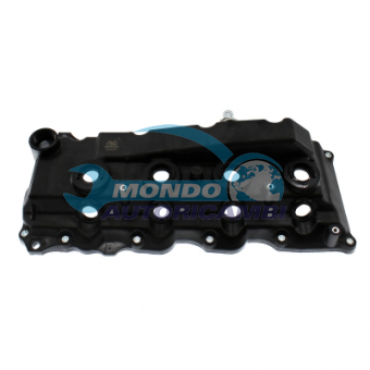 COPERCHIO COPRITESTATA