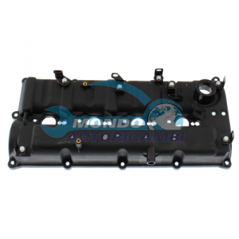 COPERCHIO COPRITESTATA