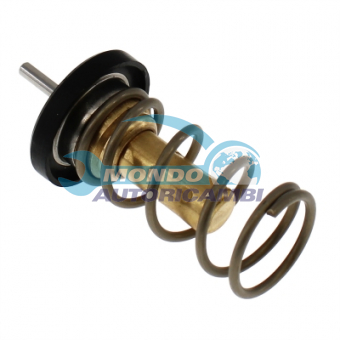 TERMOSTATO, TERMOINTERRUTTORE