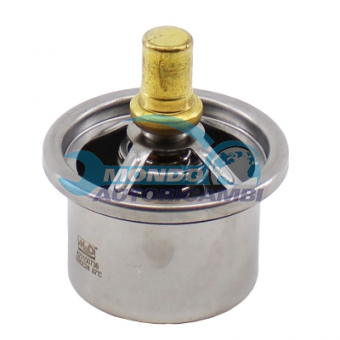 TERMOSTATO, TERMOINTERRUTTORE