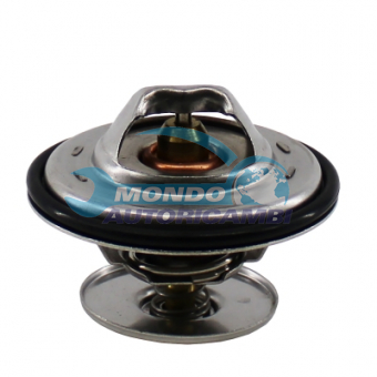 TERMOSTATO, TERMOINTERRUTTORE