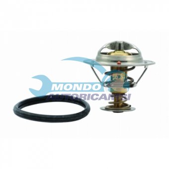 TERMOSTATO, TERMOINTERRUTTORE