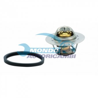 TERMOSTATO, TERMOINTERRUTTORE