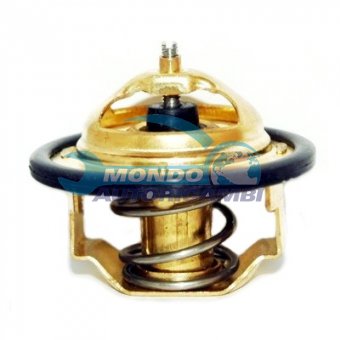 TERMOSTATO, TERMOINTERRUTTORE