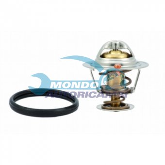 TERMOSTATO, TERMOINTERRUTTORE