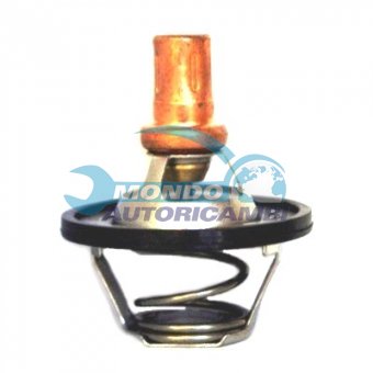 TERMOSTATO, TERMOINTERRUTTORE