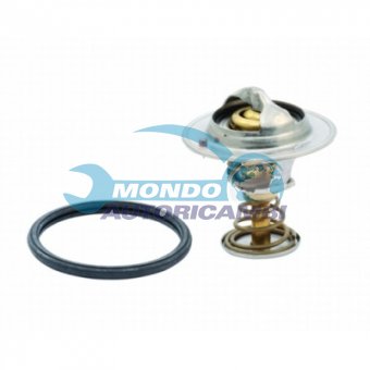 TERMOSTATO, TERMOINTERRUTTORE