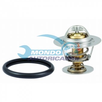 TERMOSTATO, TERMOINTERRUTTORE