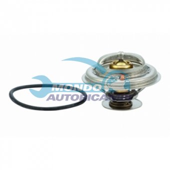 TERMOSTATO, TERMOINTERRUTTORE