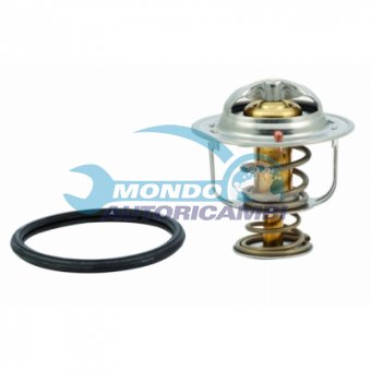 TERMOSTATO, TERMOINTERRUTTORE