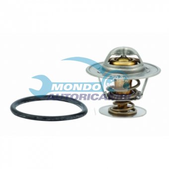 TERMOSTATO, TERMOINTERRUTTORE