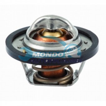 TERMOSTATO, TERMOINTERRUTTORE