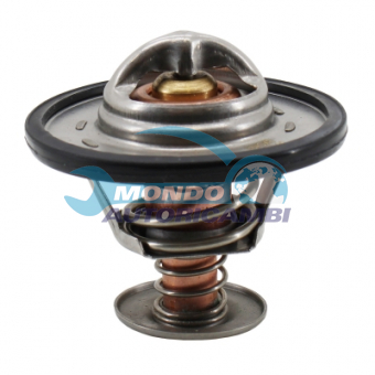 TERMOSTATO, TERMOINTERRUTTORE