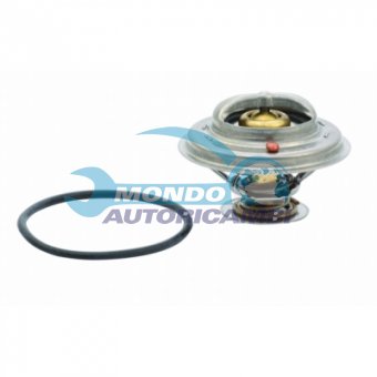 TERMOSTATO, TERMOINTERRUTTORE