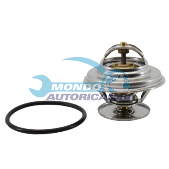 TERMOSTATO, TERMOINTERRUTTORE